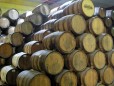 Mundo Cuervo :: Distillery Production Photos
