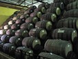 Mundo Cuervo :: Distillery Production Photos