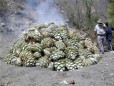 Del Maguey Mezcal :: Distillery Production Photos