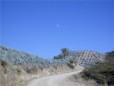 Del Maguey Mezcal :: Distillery Production Photos