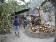 Del Maguey Mezcal :: Distillery Production Photos