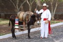 Tequila Herradura :: Distillery Production Photos