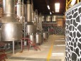 La Cofradia :: Distillery Production Photos