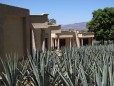 La Cofradia :: Distillery Production Photos
