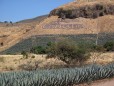 La Cofradia :: Distillery Production Photos