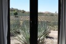 La Cofradia :: Distillery Production Photos