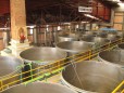 La Cofradia :: Distillery Production Photos