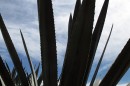 San Isidro :: Distillery Production Photos