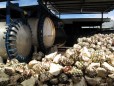 San Isidro :: Distillery Production Photos