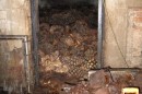 San Isidro :: Distillery Production Photos