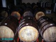 Sotolera Cueva Blanca :: Distillery Production Photos
