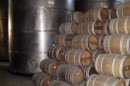 Tequilena :: Distillery Production Photos