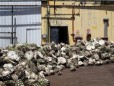 Tequilena :: Distillery Production Photos