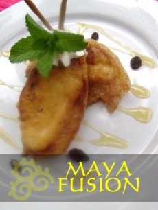 Maya Fusion Maya Fusion