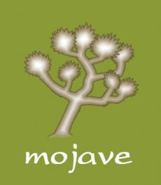 Mojave Tequila Bar