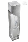 Trago Silver Trago Silver