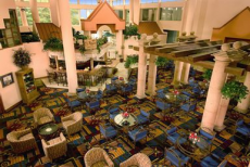 El Agave Tequila Bar, The Holiday Inn - Airport - Click to enlarge