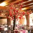 La Tequila Cocina Mexicana