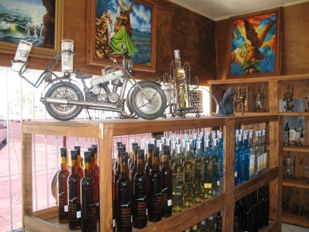 Tequila Factory - Rocky Point - Liquor Stores at TEQUILA.net